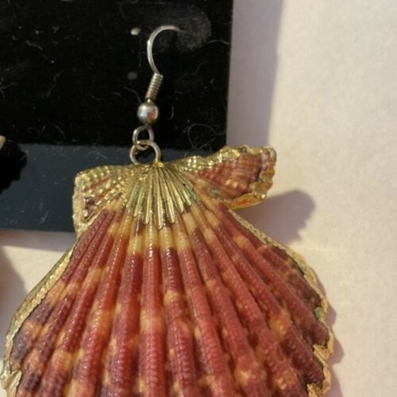 GOLD TRIM SEA SHELL EARRINGS Unique Coloring Beautiful Pcd Earrings - Picture 2 of 4